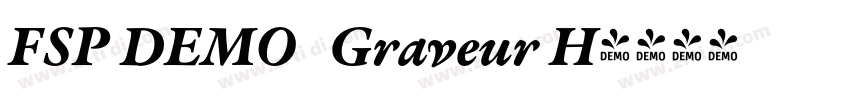 FSP DEMO   Graveur H字体转换